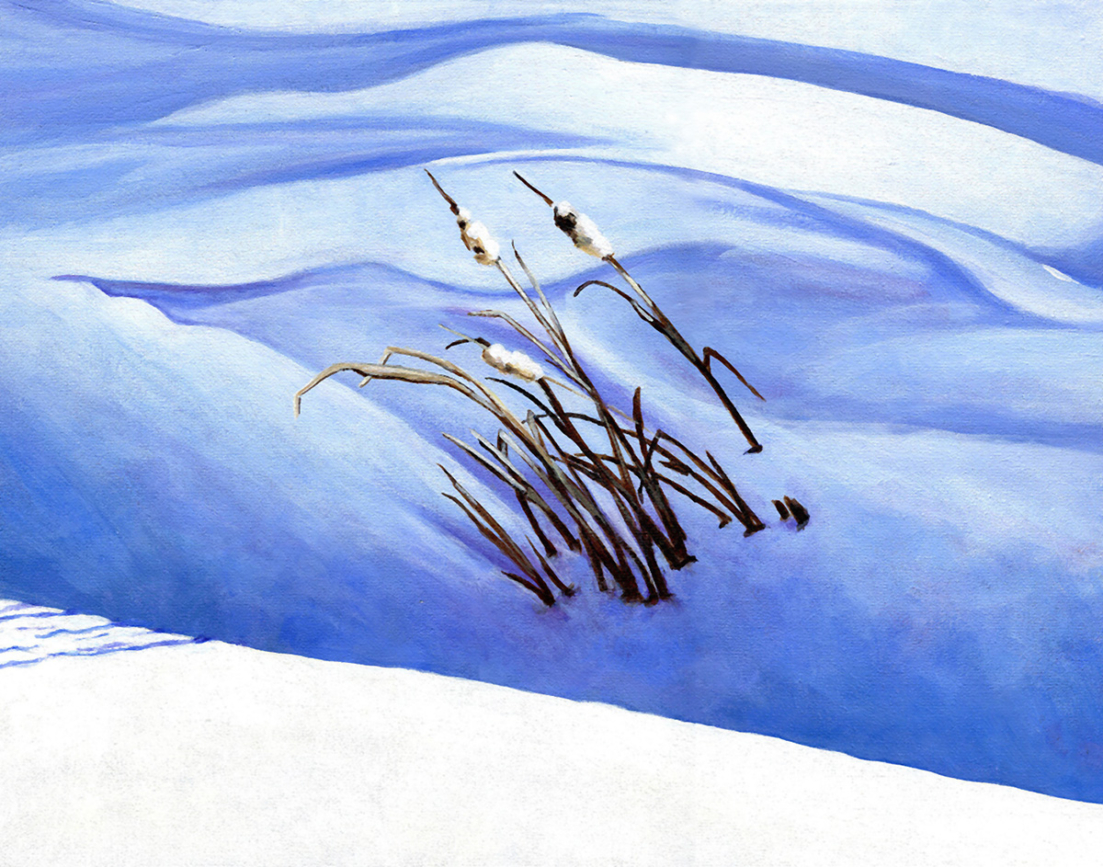 <i><font color='DimGrey'>Cattails in the Snow - Pratt Road</font></i>