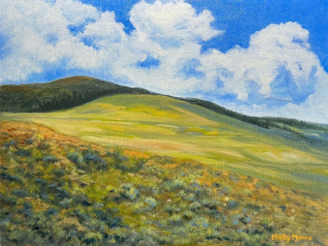 <i><font color='DimGrey'>Dancing Sky</font></i>