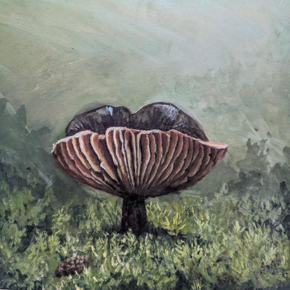 <i><font color='DimGrey'>Sentinel of Hidden Lake</font></i>