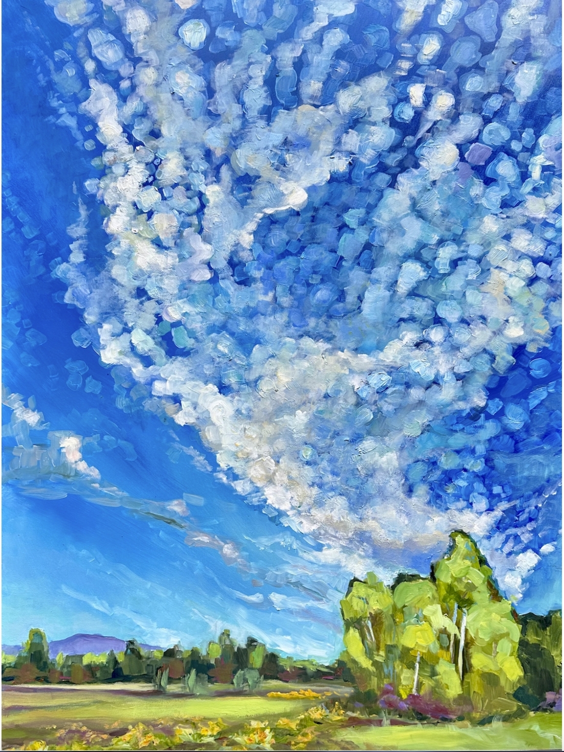 <i><font color='DimGrey'>Summer Skies, Wilson, WY</font></i>