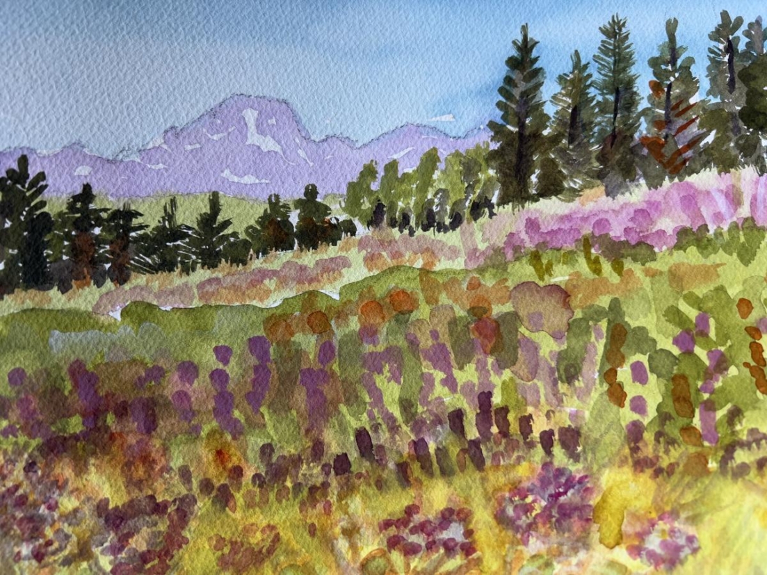 <i><font color='DimGrey'>Togwotee Overlook</font></i>