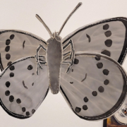 <i><font color='DimGrey'>Silvery Blue</font></i>